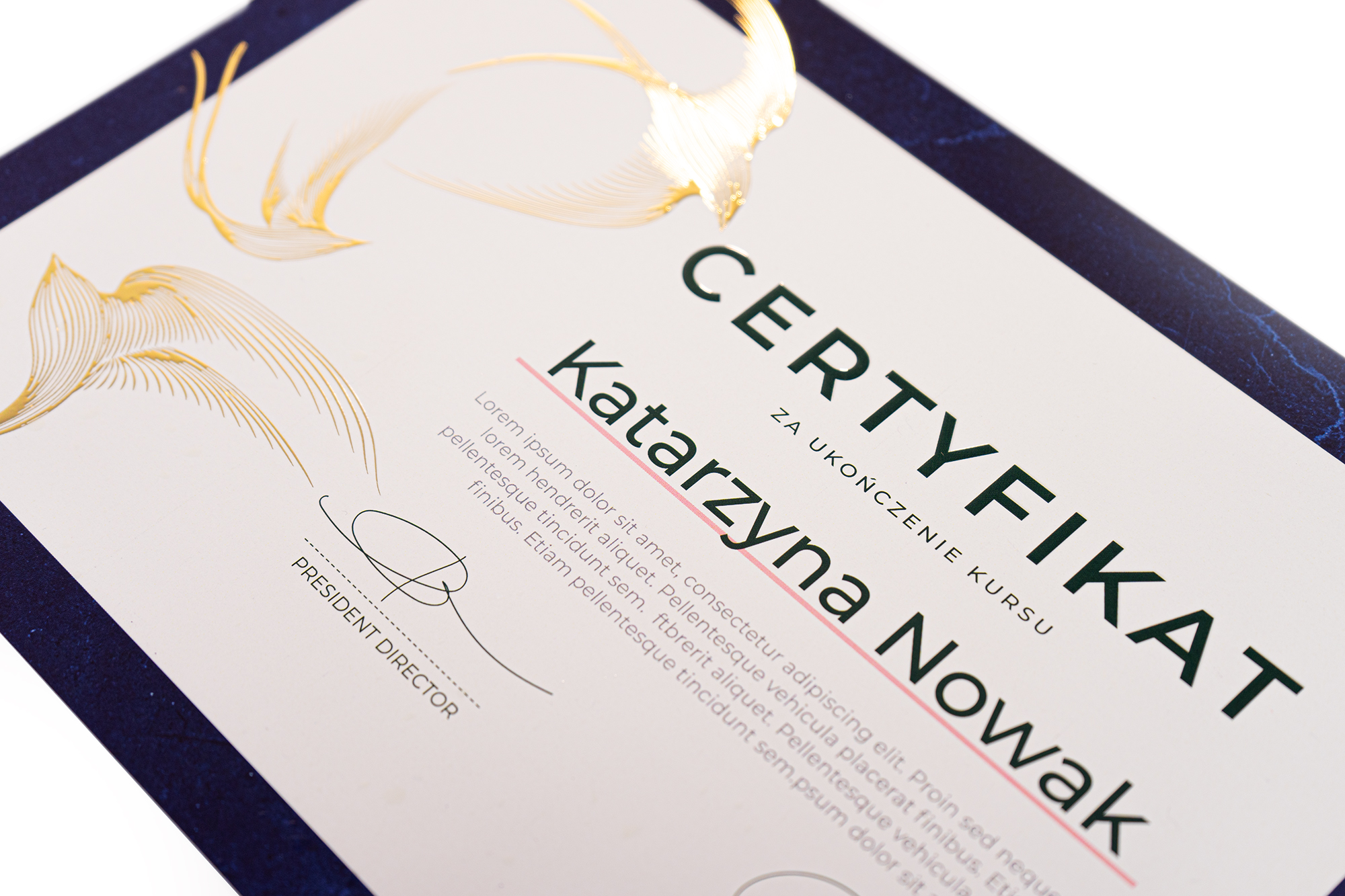 Diplomas, Premium certificates, 3D, gilding, silver plating